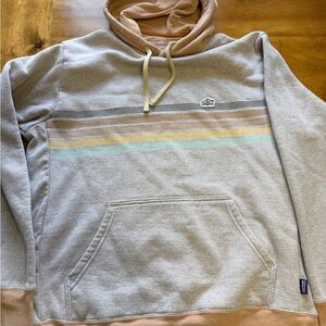 Patagonia Gray and Tan Striped Hoodie